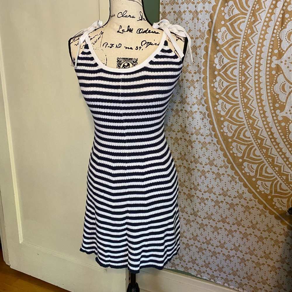 American Eagle Navy Striped dress